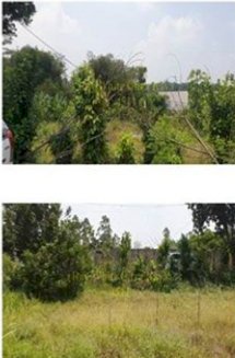 Dijual Tanah Tigaraksa Tangerang