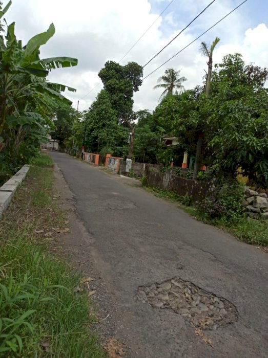 Tanah bagus istimewa di cebongan