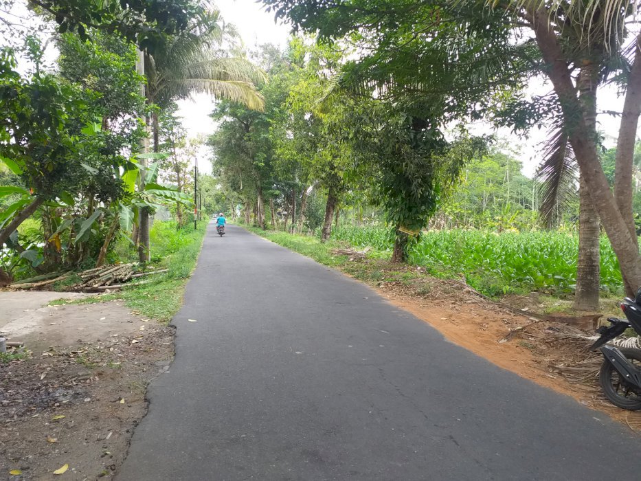 Tanah super murah di sleman