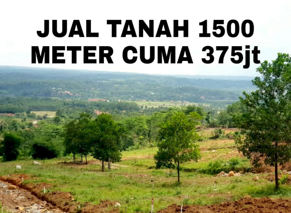 Di Jual Tanah Di Kp Cipereng Desa Antajaya Kec Tanjungsari Kab Bogor