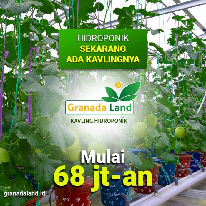 Kavling Hidroponik Buah dan Sayur di Kawasan Eduwisata Bogor