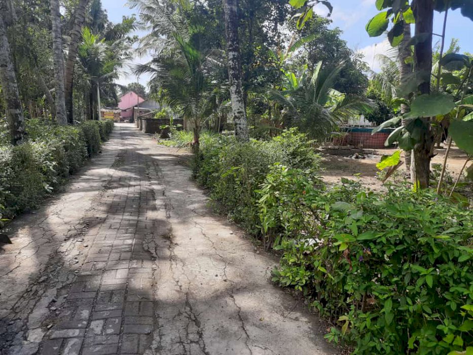 Tanah seworan,triharjo, wates lokasi dekat jalan raya