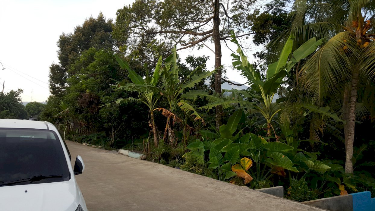 TANAH PEKARANGAN PINGGIR JALAN