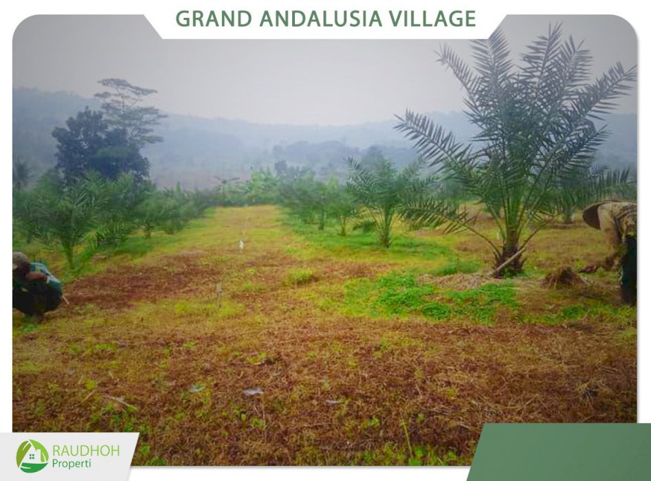 Tanah Kavling Produktif di Kawasan Agrowisata Bogor Timur