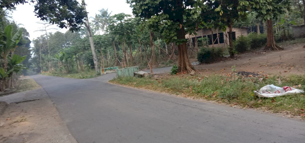 Tanah pekarangan murah di sleman