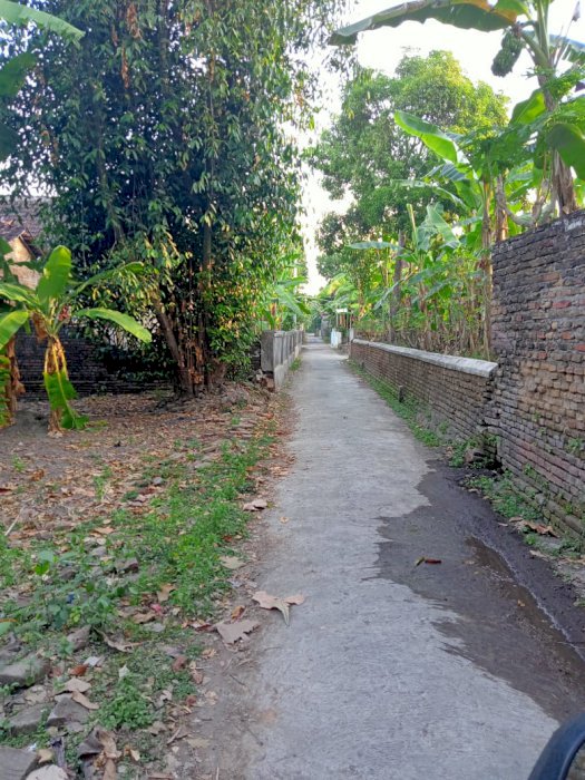 Dijual tanah pekarangan mangku jalan