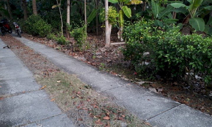 Tanah dijual murah dekat pasar ngebung