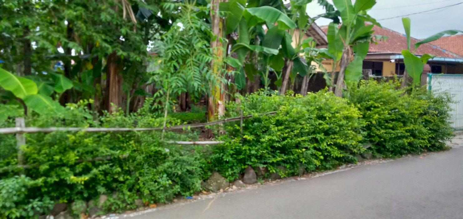 Jual Tanah Di Kota Purwokerto