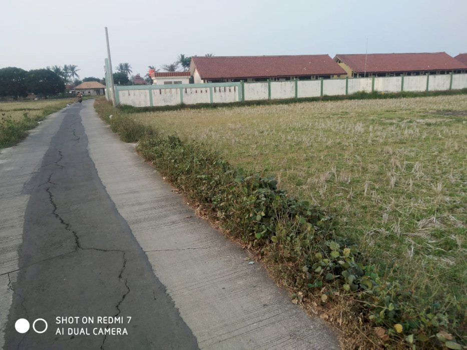 Tanah 6000 m di kampung Waliwis Mekar Baru Kronjo cocok untuk Ponpes