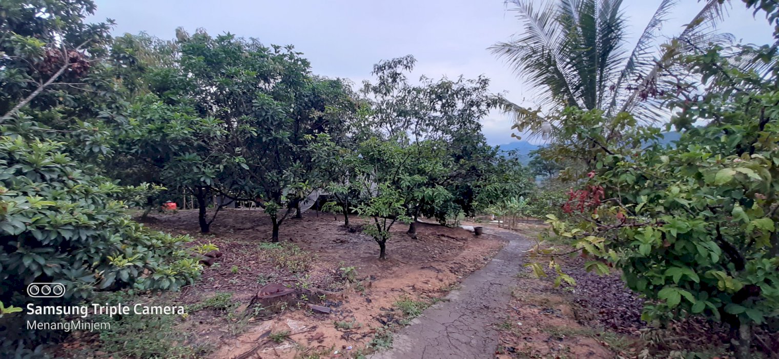 Di jual Tanah luas di Tanjungsari Bogor