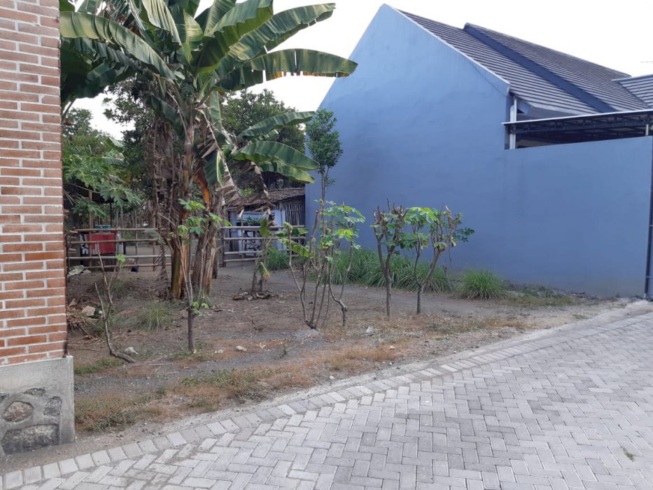 Tanah Kecil Bagus Dkt Jogja Bay di Sleman Cck Pendatang