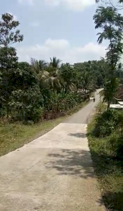 Tanah di Cikulur Lebak Banten 14439m cocok untuk peternakan