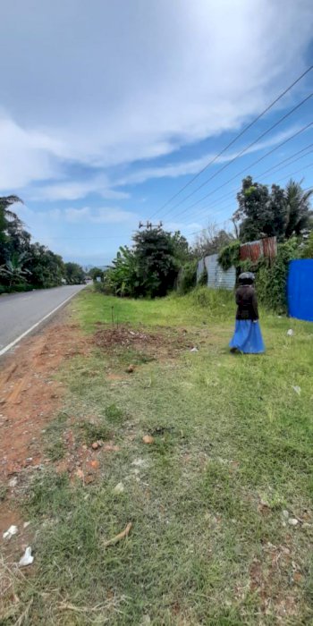 Dijual tanah mangku jalan provinsi