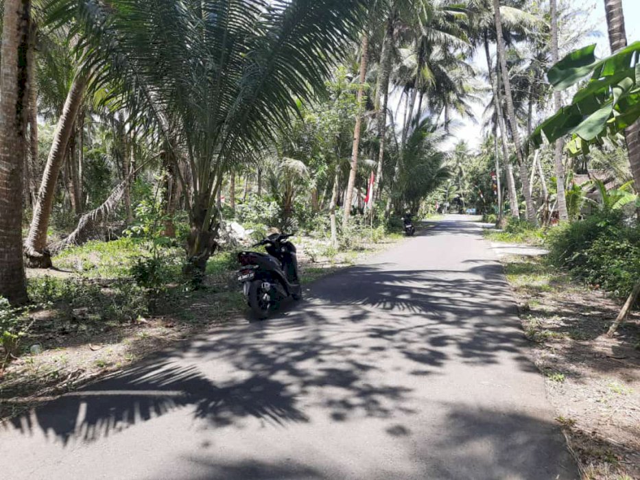 Tanah akses jalan lebar 6 meter 