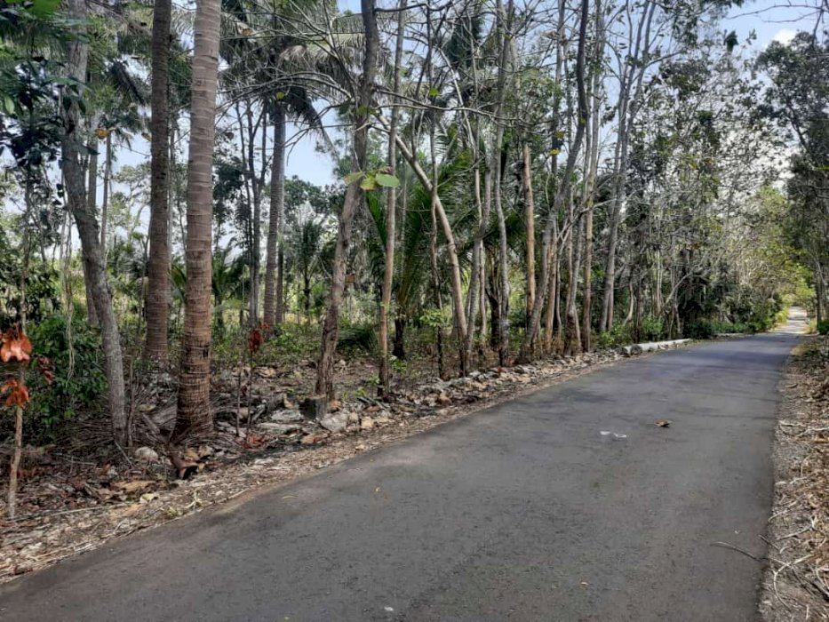 Lokasi mangku jalan aspal 