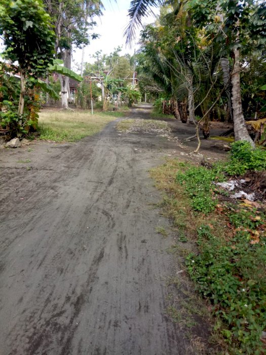 Tanah murah dekat jalan deandels 