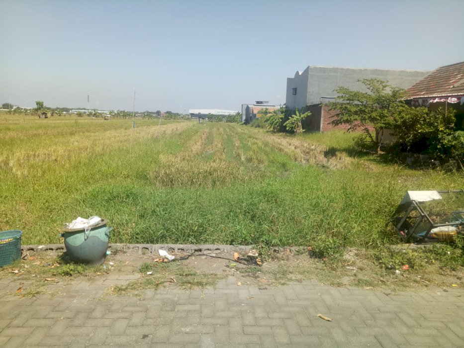 Tanah Sawah Kering Murah di Semampir Juanda