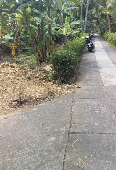 Lokasi bendungan Dekat jalan raya