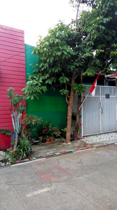 Rumah minimalis sederhana