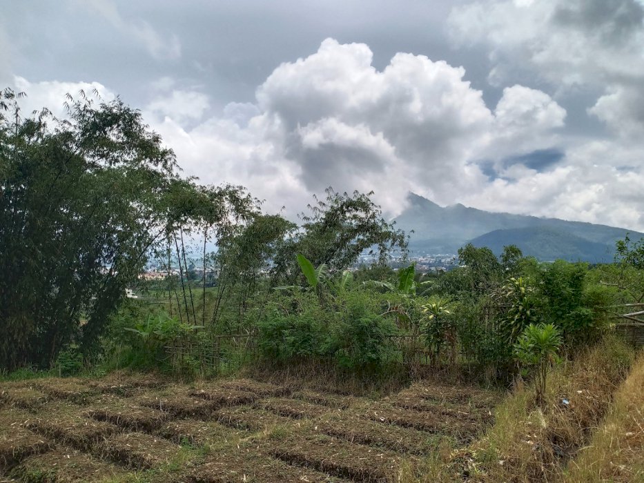 Tanah Investasi Dekat Jatim Patk 4 Kota Batu
