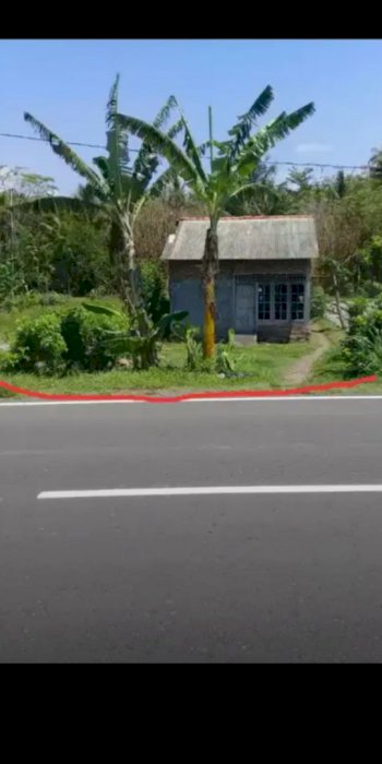 Dijual tanah tegalan barat bandara YIA kulon progo