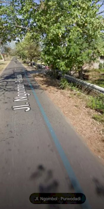 Jual sawah produktif mangku jalan besar