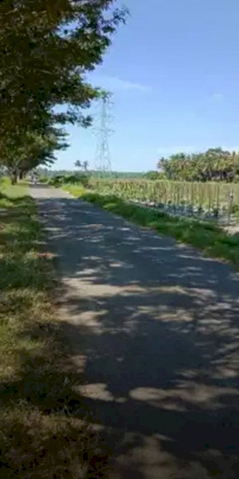 Jual tanah sawah  hook sdh uruk