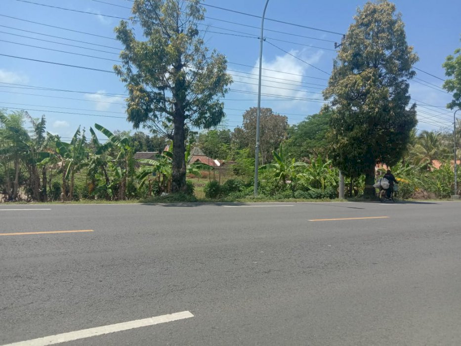 Tanah dijual murah cocok pusat oleh oleh dekat bandara