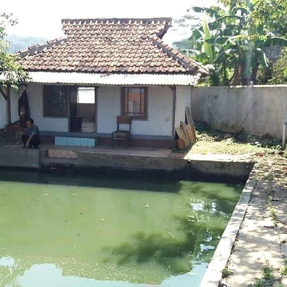 Dijual Tanah+RumahPondok SHM, Cocok dijadikan kolam pemancingan