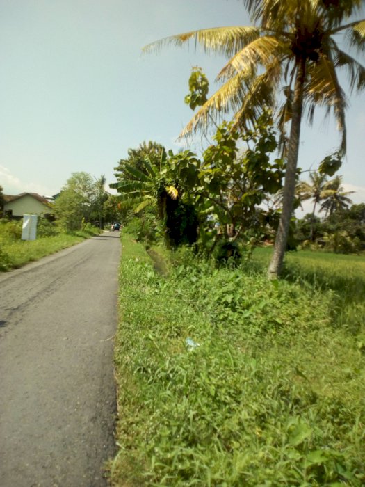 Tanah Strategis Bisa buat Gudang atau Hunian