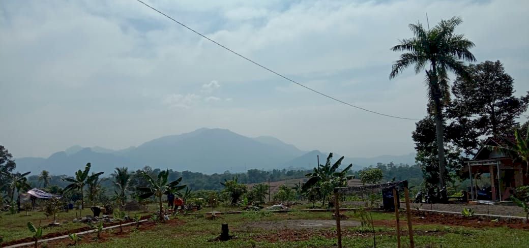 TANAH KAVLING SERBAGUNA MURAH