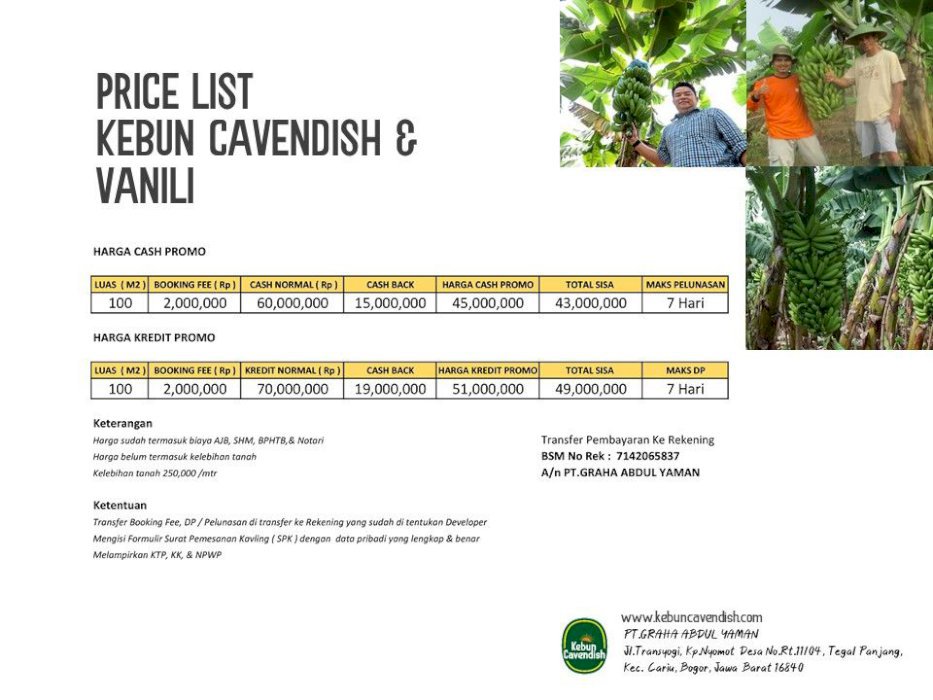 JUAL KEBUN PISANG DAN VANILI GRATIS PERAWATAN