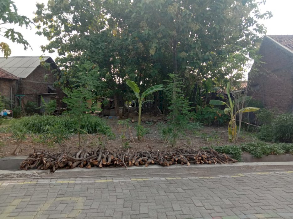 Tanah Selangkah ke Majapahit