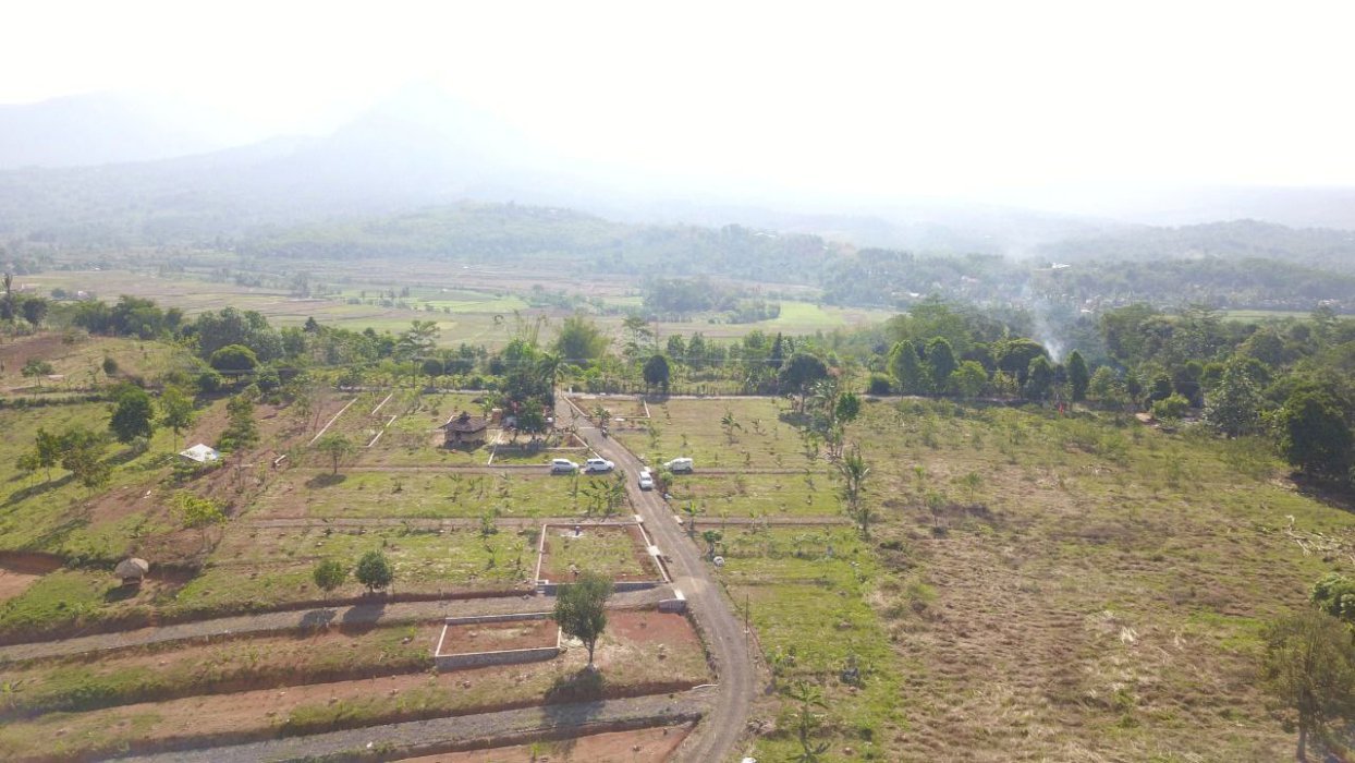 Tanah dijual  murah serbaguna bonus 2 bibit pohon duren bawor di bogor