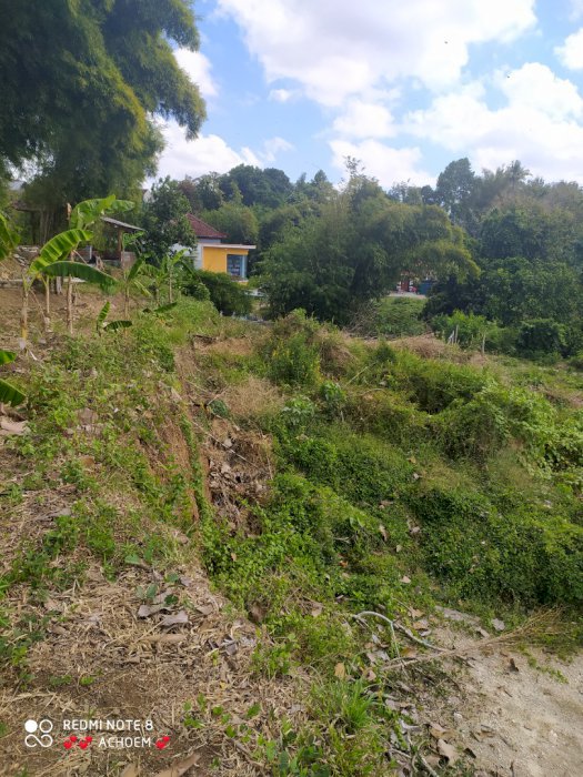 Di jual tanah murah 82 are di antasura view sungai