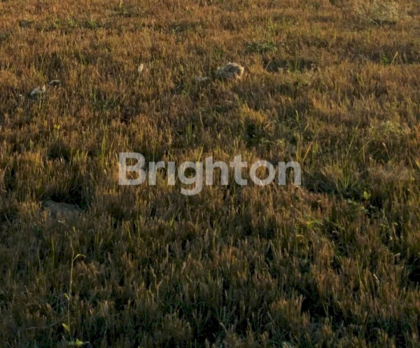 Kavling North Emerald Mansion (luar cluster), Citraland