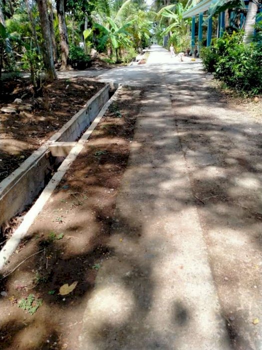 Tanah cocok buat kavling kavling dll