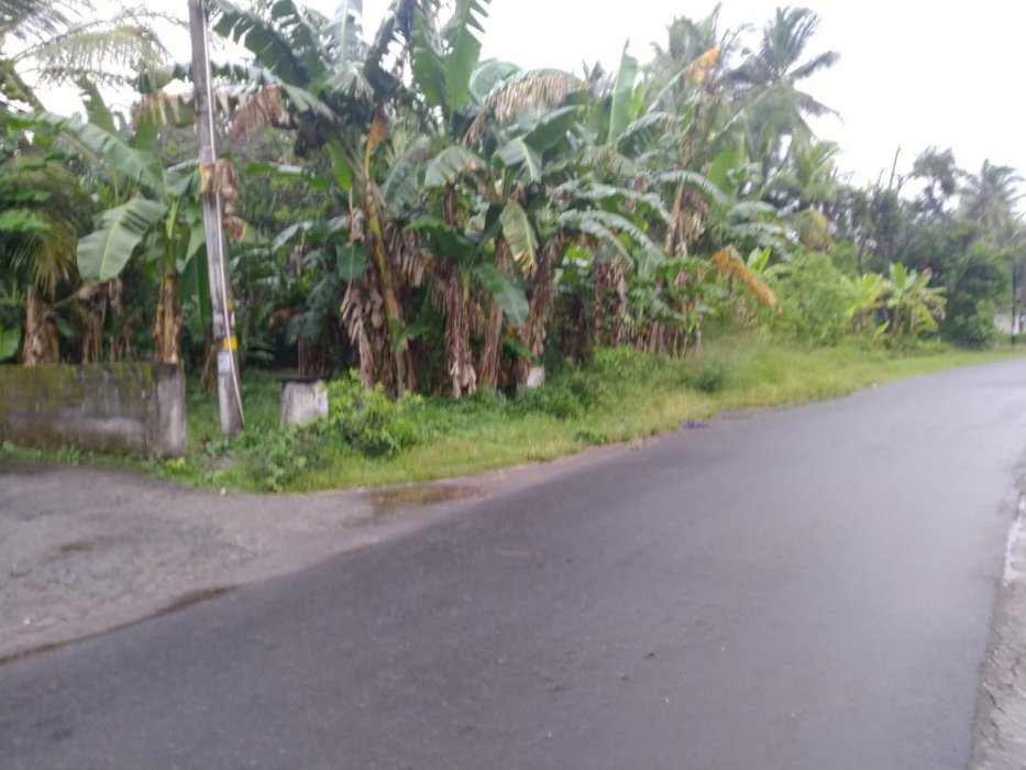 Kapling Mangku Aspal Utara Pasar Godean, Potong Harga  Hingga 25%