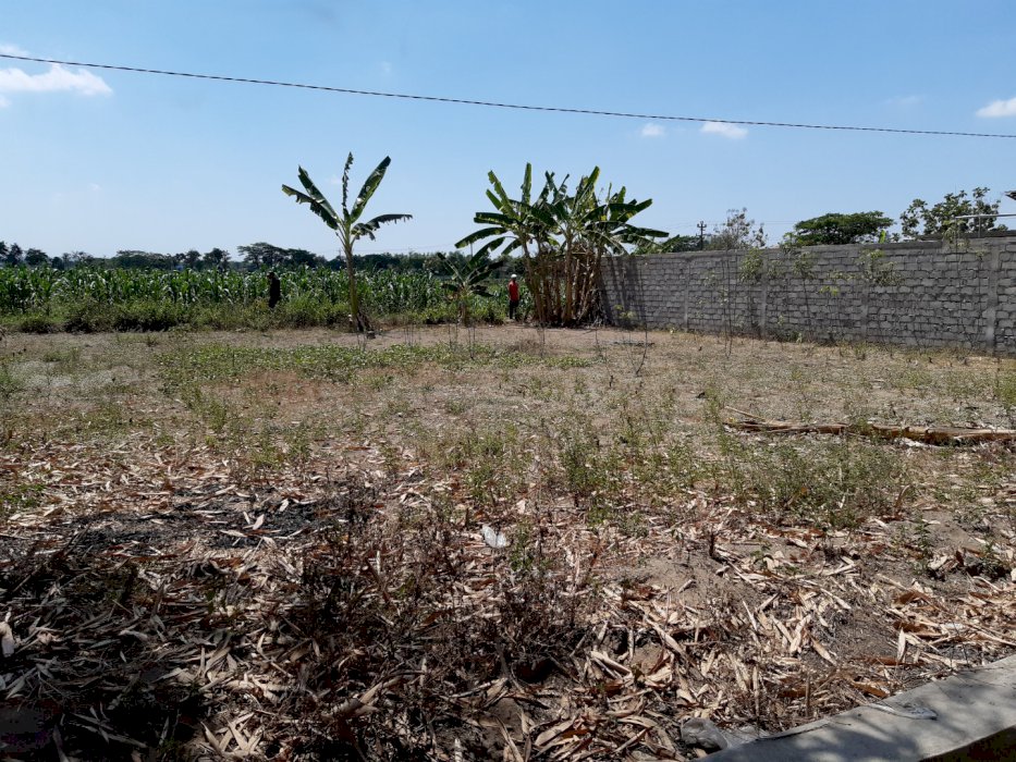 Dijual Tanah Lokasi Strategis di Jogonalan Wonoboyo Klaten