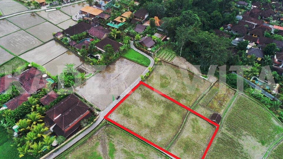 Tanah view sawah lingkungan villa sayan ubud Bali