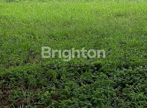 Tanah Luas Royal Park Citraland Harga Murahhh 