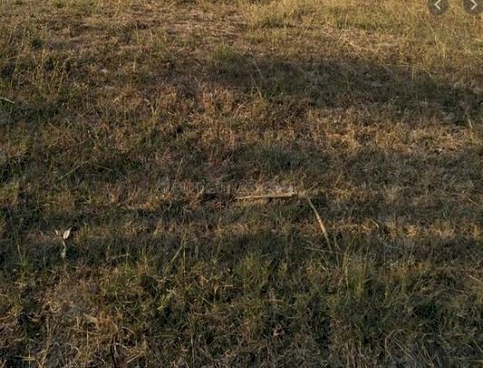 Ciamikk Villa Sentra Raya Citraland Tanah Siap Bangun