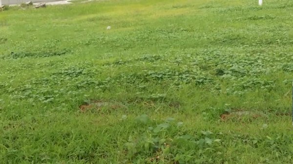 Tanah Villa Bukit Indah Pakuwon Indah