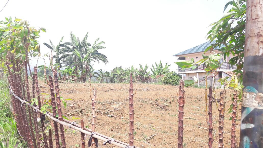 OBRAL 1.2 JT/M2.TANAH STRATEGIS JL RAYA  DEKAT RESTO DE SAUNG CIOMAS