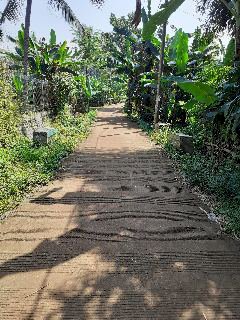 Tanah 3600m di jual pinggir jalan cor di cariu