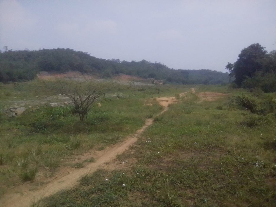 Jual Murah Tanah 5,6 hektar untuk Perumahan Di Ciseeng Bogor