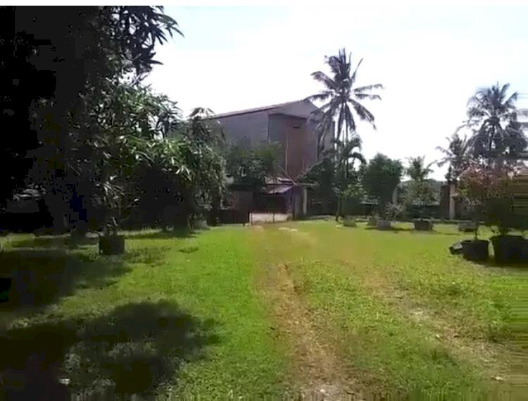  Tanah Kebun 1,2 Hektare Bonus Rumah Villa Di Desa Gunung Sindur 