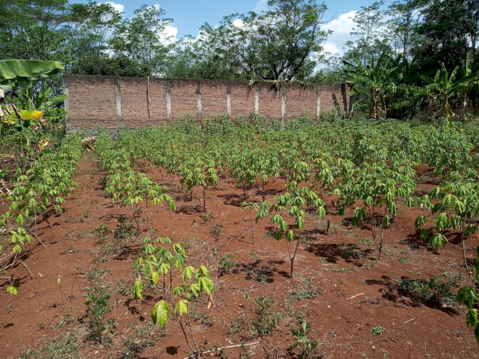 Tanah Invest Kodya Semarang