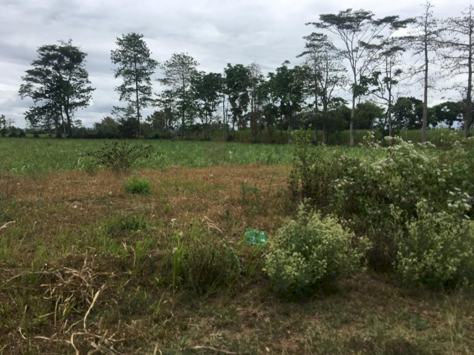 Tanah Kavling Murah Sertifikat SHM milik sendiri