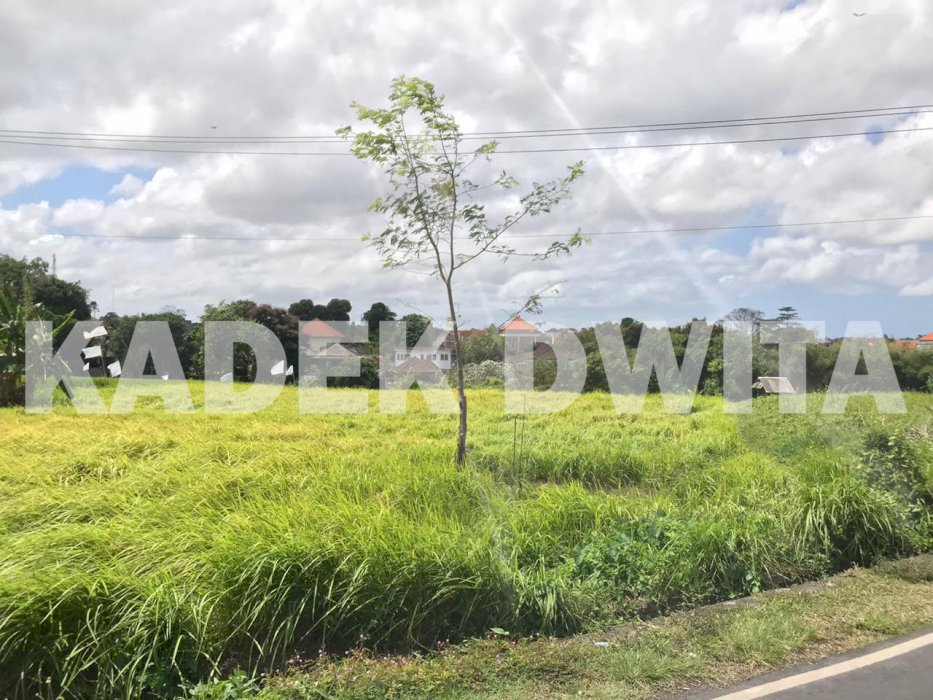 Tanah 15 are view sawah jalan utama padang linjong batubolong canggu